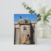 Fubby's die een vogelhuis beklimmen. ポストカード (スタンド正面)