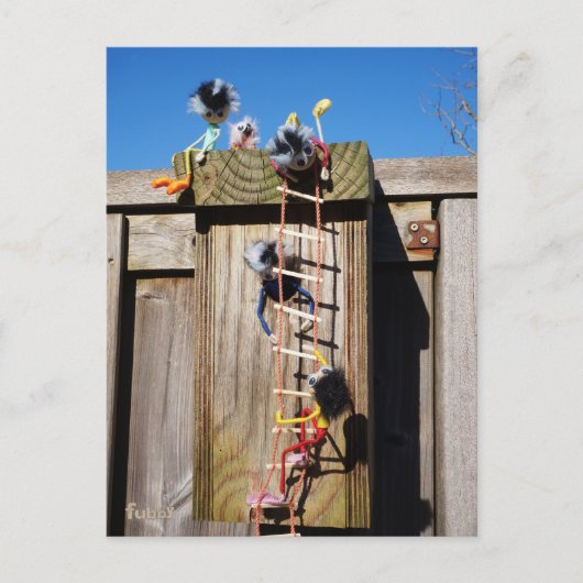 Fubby's die een vogelhuis beklimmen. ポストカード (正面)