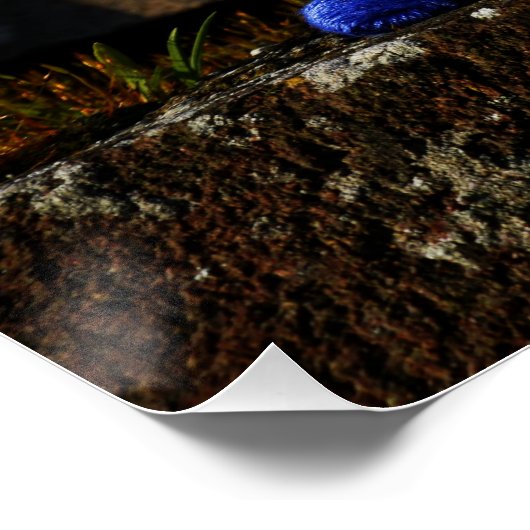 Fubby's die elkaars Valentijn zijn. ポスター (コーナー)