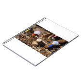 Fubby's die hout zagen. ノートブック (左側)