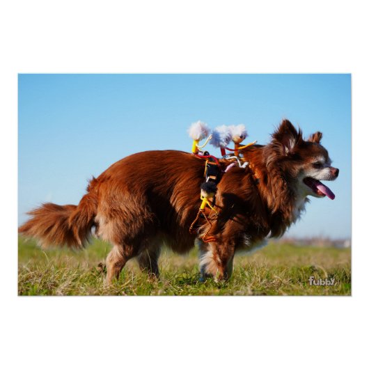 Fubby's die paardrijden op hun honden vriendje. ポスター (正面)