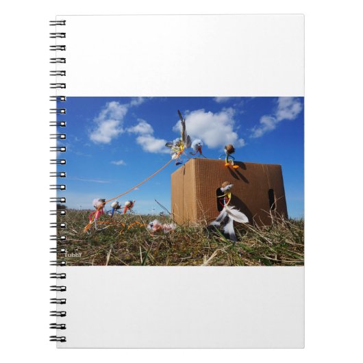 Fubby's die spelen met veren en vliegen. ノートブック (正面)