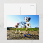 Fubby's in natuur met madeliefjes. ポストカード (正面/裏面)