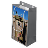 Fubby's in vogelhuisje met touwladder. スモールペーパーバッグ (裏面アングル)