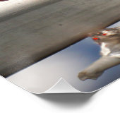 Fubby's op giek in 'Manhatten' poster. ポスター (コーナー)