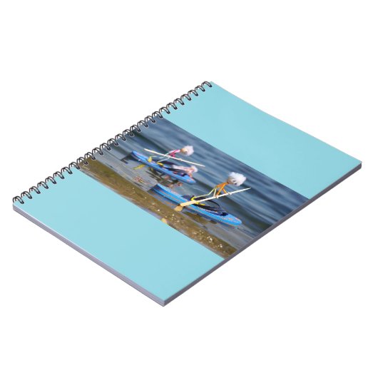 Fubby's op peddelboard dat een teenslipper is. ノートブック (左側)