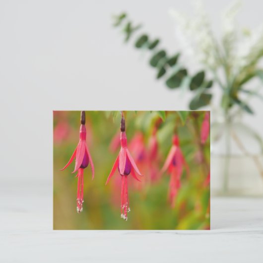 Fuchsia Flower Postcard ポストカード (スタンド正面)