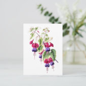 Fuchsia Flowers Vintage Botanical Postcard ポストカード (スタンド正面)