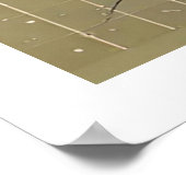 Fuerteventura，カナリア諸島，海辺 ポスター (角)