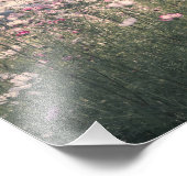 Fujiwara Palace Site, cosmos フォトプリント (角)