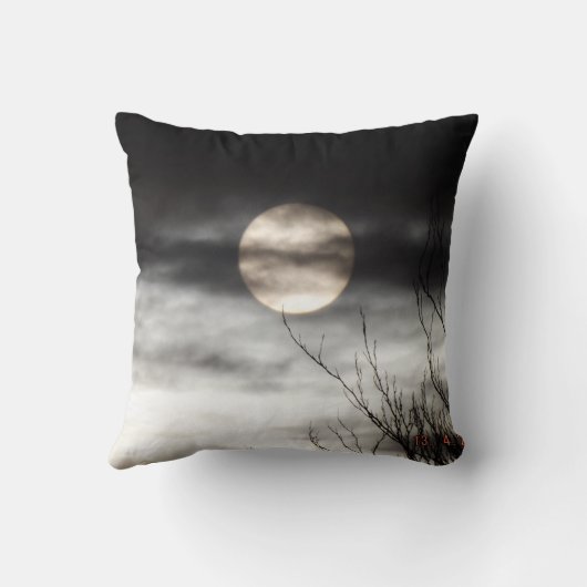 full moon クッション (裏面)