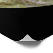 Full Moon ポスター (角)