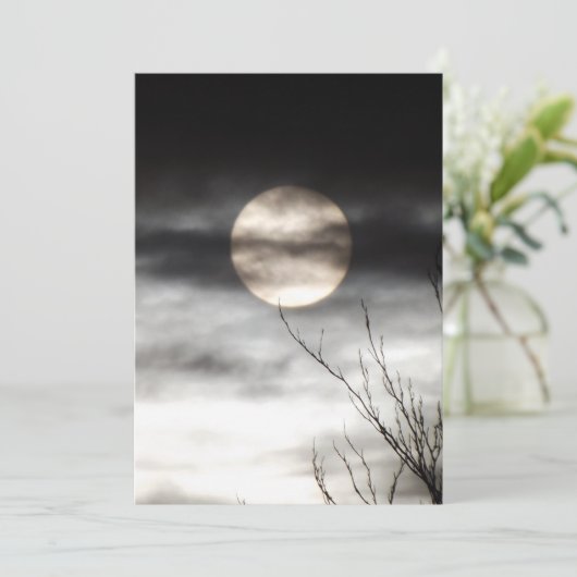 full moon 招待状 (スタンド正面)