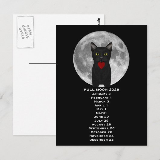 Full Moon  Cat 2026  Postcard ポストカード (正面/裏面)
