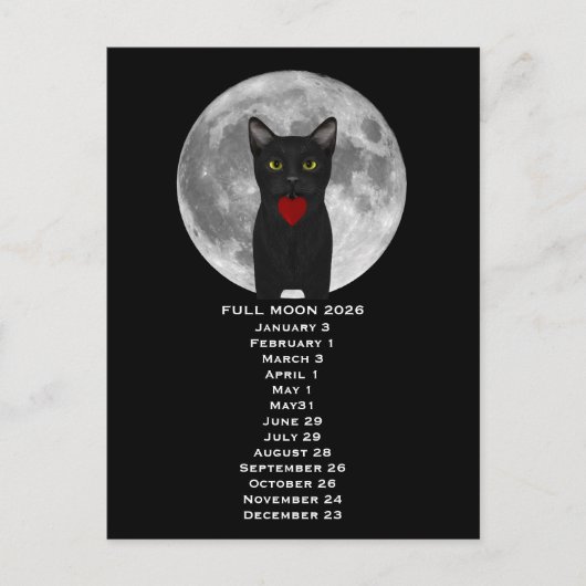 Full Moon  Cat 2026  Postcard ポストカード (正面)
