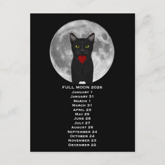 Full Moon  Cat 2026  Postcard ポストカード