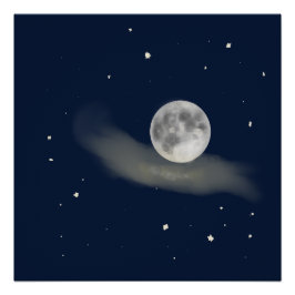 Full moon night  ポスター