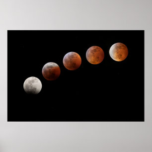 Full Moon Phases Total Lunar Eclipse Colorado ポスター