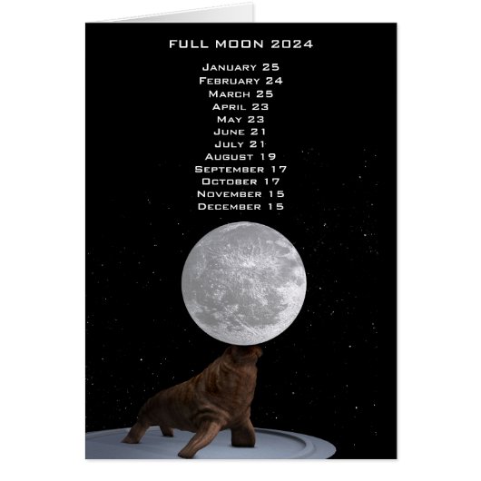 Full Moon Walrus 2024米国東部標準時 (正面)