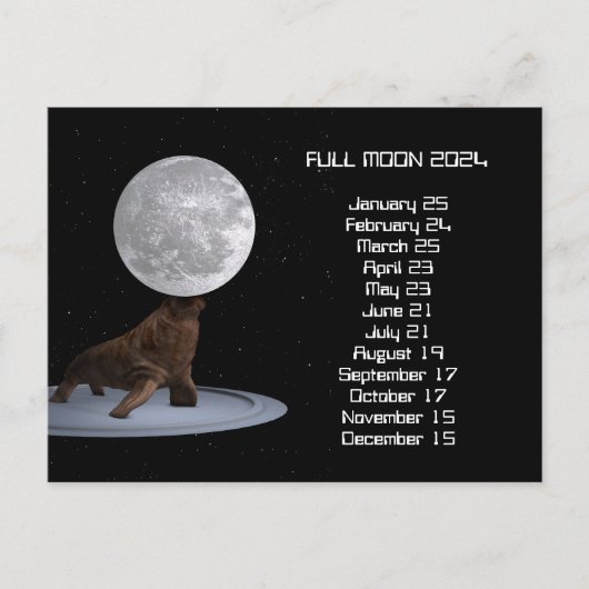 Full Moon Walrus US Eastern Date 2024ポストカード ポストカード (正面)