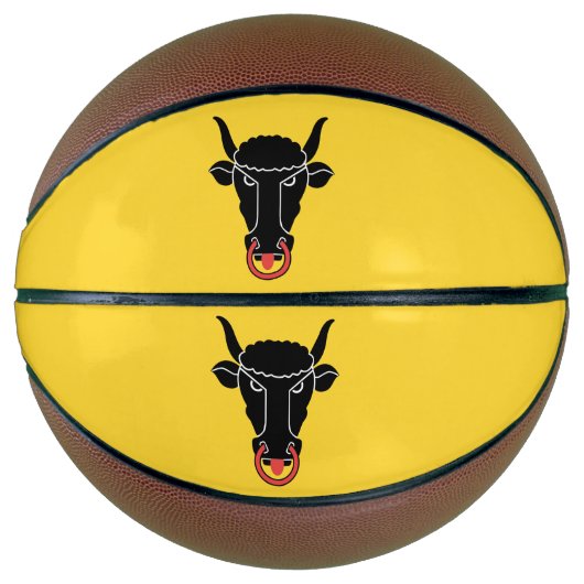 Fullsize Basketball with Flag of Uri Canton バスケットボール (正面)