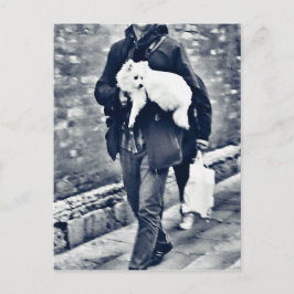 fullsizeoutput_c78白黒ポメラニア犬 ポストカード