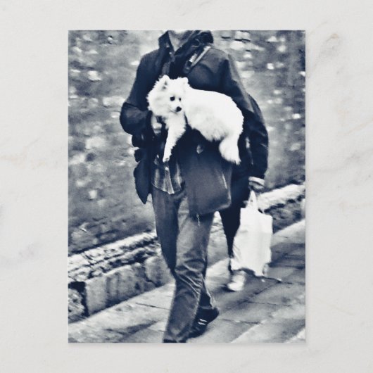 fullsizeoutput_c78白黒ポメラニア犬 ポストカード (正面)