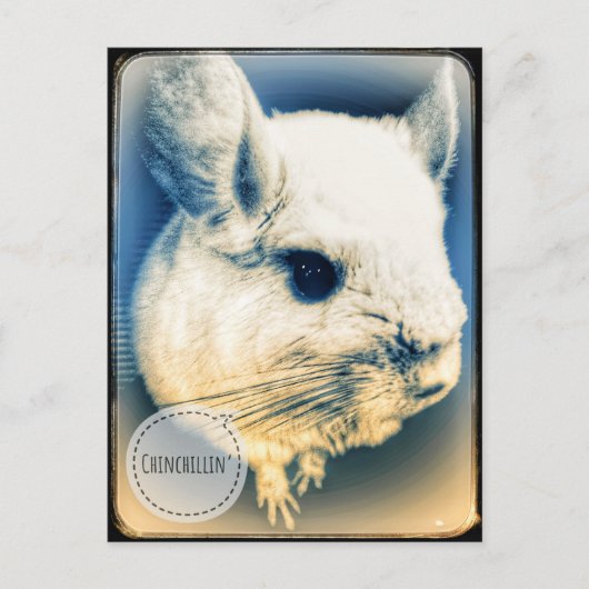 FullSizeRenderチンチリン ポストカード (正面)