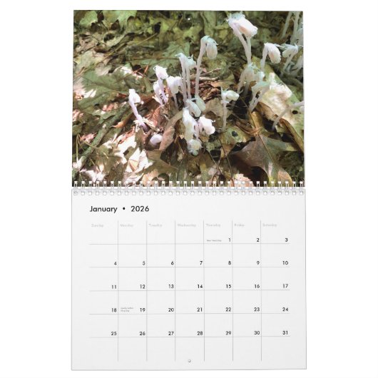 Fully Customizable 12 Month Photo Calendar カレンダー (1月 2026)