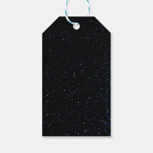 Fun Bowling party for Kids ギフトタグ (裏面)