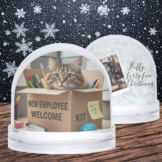 Fun Cats meme Snow Globe, office, HR, Business
