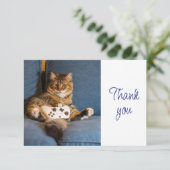 Fun Cute Kitten Cat Gamer Gaming  Thank You サンキューカード (スタンド正面)