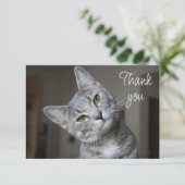 Fun Cute Kitten Cat Thank You サンキューカード (スタンド正面)