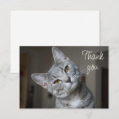 Fun Cute Kitten Cat Thank You サンキューカード (正面/裏面)