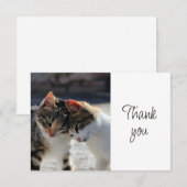 Fun Cute Kittens Cats   Thank You サンキューカード (正面/裏面)