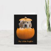 Fun Cute Personalized Halloween Pumpkin Dog Photo カード (正面)