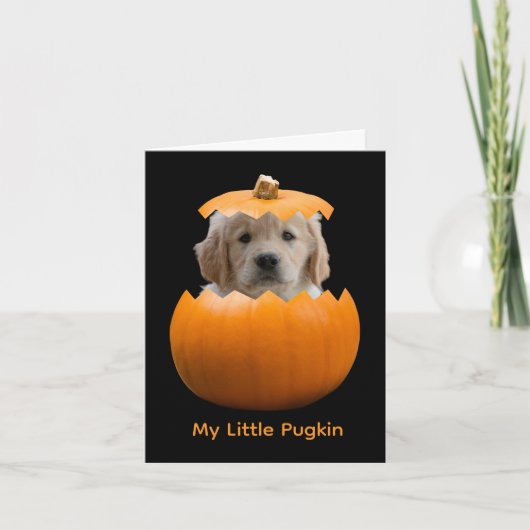 Fun Cute Personalized Halloween Pumpkin Dog Photo カード (正面)