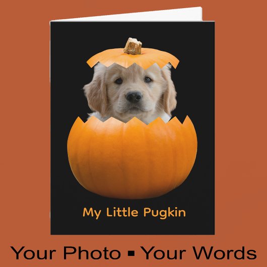 Fun Cute Personalized Halloween Pumpkin Dog Photo カード