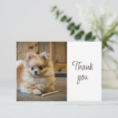 Fun Cute Pomeranian Chihuahua Dog Thank You サンキューカード (スタンド正面)
