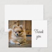 Fun Cute Pomeranian Chihuahua Dog Thank You サンキューカード (正面/裏面)