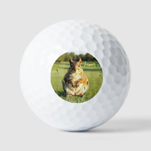 Fun Fox Squirrel Golf Balls ゴルフボール (正面)