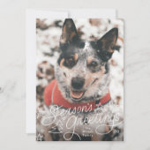 fun lettering seasons greetings stars photo シーズンカード (正面)