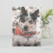 fun lettering seasons greetings stars photo シーズンカード (スタンド正面)