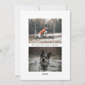 fun lettering seasons greetings stars photo シーズンカード (裏面)