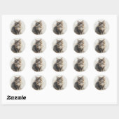Fun Long Haired Tabby Cat Kitten Pet Animal ラウンドシール (シート)