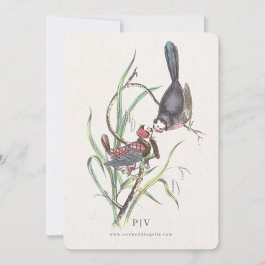 Fun Love Birds Wedding 招待状 (裏面)