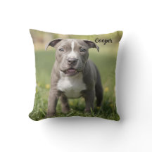 Fun-loving Pit Bull Personalized