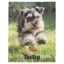 Fun Schnauzer Personalized