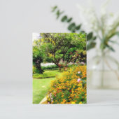 Funchal，マデイラ（ポルトガル）の春の花 ポストカード (スタンド正面)