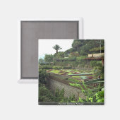 Funchal，マデイラ，ポルトガル マグネット (正面/裏面)